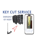 KEY CUT  GM 2021 - 2026 Emergency Insert Key Blade 13536164  CHEVROLET G... - €19,74 EUR