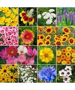 KKG Bird &amp; Butterfly Flower Garden Seed Mix Heirloom Pollinators Non Gmo... - $10.85