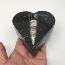 386 Grams Heart Fossils Orthoceras Handmade Black Jewelry Box @Morocco,M... - £20.32 GBP