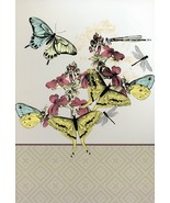 Butterfly Collection - Blank Inside - 01708-2 - $51.41 MXN