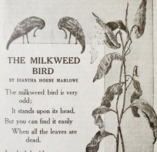 1917 The Milkweed Bird Poem Diantha Horne Marlowe Art Antique Ephemera L... - $19.99