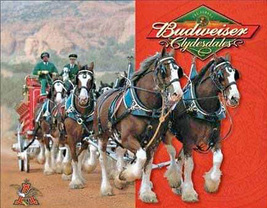  Budweiser Clydesdales Cross Stitch Pattern***LOOK*** - £2.32 GBP