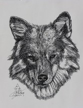 Vintage Steve Carter 1991 Wolf Sketching Art print signed limited edition #278 - £71.83 GBP