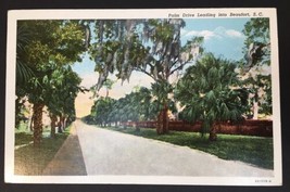 Palm Drive Leading Beaufort SC South Carolina WB PC VTG Curteich Trees Street - £3.24 GBP