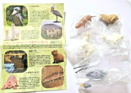 KAIYODO Capsule Q Museum Rare Beast Zoo All 5 types set Gacha Gacha - $79.19