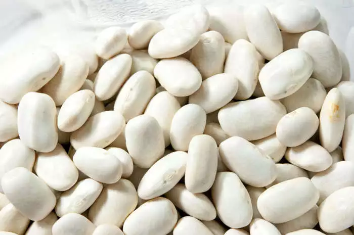 30 Cannellini Bean Seeds White Italian Kidney Phaseolus Vulgaris Vegetable Fresh - £12.37 GBP