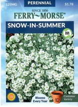GIB Snow In Summer Flower Seeds Ferry Morse  - £7.86 GBP