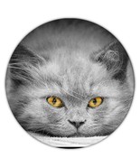 Cat Plotting : Gift Coaster Cute Animal Kitten Funny Not Quiet Eyes Sepi... - $93.09 MXN
