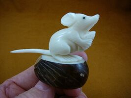 (TNE-MOU-114d) white MOUSE mice TAGUA NUT Figurine VEGETABLE RODENT PALM - $28.99