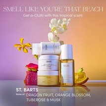 St. Barts Cleansing Scalp &amp; Body Sugar Scrub - $86.00