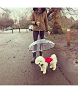 WaterProof Dog Pet Umbrella | Puppy Transparent Umbrella | Dog Cat Umbrella - $179.88 MXN
