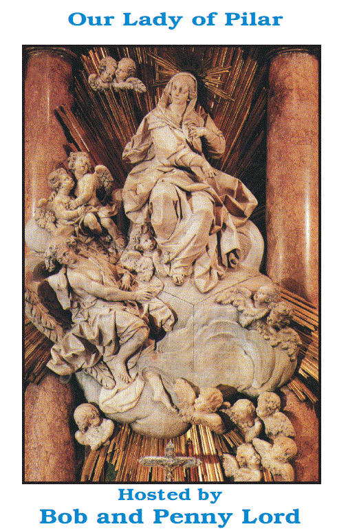 Our Lady of Pilar DVD by Bob & Penny Lord, New