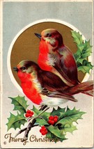 c1910s MERRY CHRISTMAS Embossed Postcard Robin Birds / Holly Branch / nostalgia - £16.96 GBP