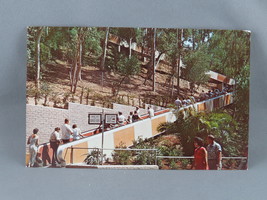 Vintage Postcard - Moving Stairway San Diego Zoo - Unbranded - $15.00