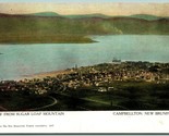 View From Sugar Loaf Mountain Campbellton New Brunswick Canada UDB Postc... - $4.90