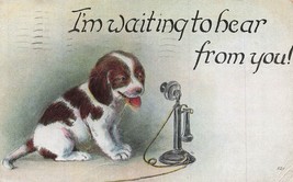 I&#39;M WAITING TO HEAR FROM YOU-DOG LOOKS AT TELEPHONE-1917 ROANOKE VA PMK ... - £5.75 GBP