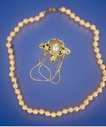 Faux Pearl Necklace With Gold Tone Brooch Fashion Jewelry Collectibles - $13.00