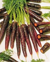 100 Seeds Carrot Hazes With A Deep Purple Exteriors Color Smooth And Taper Roots - £14.44 GBP