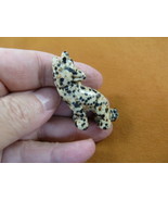 Y-COY-ST-552) spotted COYOTE gemstone carving FIGURINE gem stone lil Coy... - $14.01