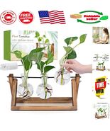 Unique Gardening Gift for Women: 3 Bulb Propagation Station with Rustic ... - $37.18 CAD