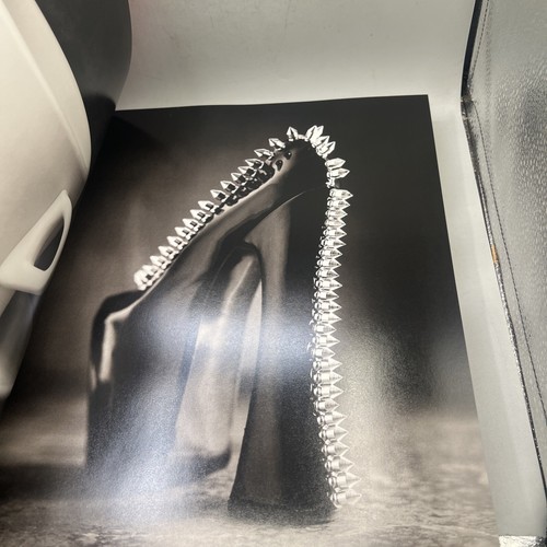 Albert Watson - UFO 2010 - Hardcover Illustrated Rare Book Item image 10