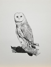 Barn Owl - Signed and Numbered Limited Edition Print by James Lasswell - 12&quot; x 9 - £19.30 GBP