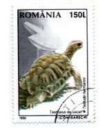 Hermann's Tortoise (Testudo hermanni) -Used Romania Stamp 1996 - $2.99