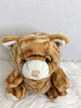 Logo Bear Plush Stuffed Animal toy Tabby Cat Kitten Kitty 7.5 in lgth - £7.15 GBP