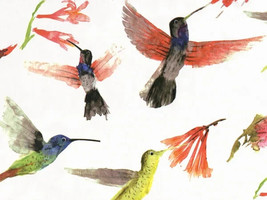 Gift Tissue Paper Made in USA 20x30&quot; Set of 12 Sheets, Hummingbird - $142.65 MXN