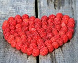 Red Raspberry Rubus Idaeus  50 Seeds 98% Germination Non Gmo - $8.99