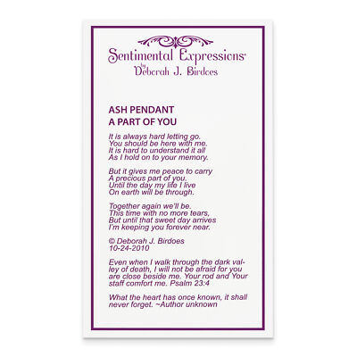 Sentimental Expressions Silver  With Me Always Ash Holder 18 Inch Necklace QSX42 Item image 7