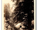 RPPC Tent House Lancaster Lodge Del Norte California CA UNP Postcard Z9 - $9.85