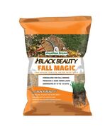Jonathan Green (10765) Black Beauty Fall Magic Grass Seed - Cool Season ... - €26,81 EUR