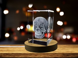 LED Base included | Human Skull 3D Engraved Crystal Novelty Decor - £31.46 GBP - £314.75 GBP