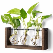 Plant Terrarium With Wooden Stand, Wall Hanging Glass Planter Tabletop Propagati - £23.96 GBP