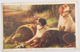 Antique 1908 Hunter&#39;s Friends Three Spaniels Dogs Hunting Fowl Postcard - $9.49