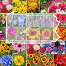 US Seller 1000 Seeds Wildflower Pennsylvania State Flower Mixs Annuals - £7.94 GBP
