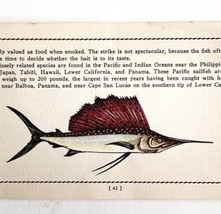 Sailfish 1939 Salt Water Fish Gordon Ertz Color Plate Print Antique PCBG19 - $29.99