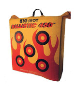 Big Shot Ballistic 450X Bag Target - $79.99