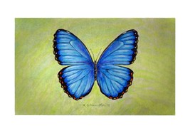 Betsy Drake Blue Morpho Butterfly 30 X 50 Inch Floral Comfort Floor Mat - £71.21 GBP