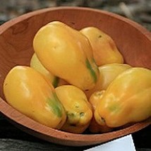PM Yellow Bell Tomato Seeds (((25 Seed Packet))) (More Heirloom, Organic... - $89.16 MXN