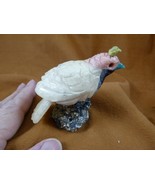 (Y-BIR-QU-30) Quail white red black bird gemstone STONE figurine Peru qu... - $569.38 MXN