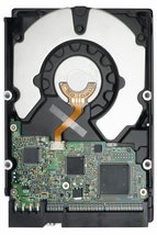 Western Digital WD1600AAJS-60WAA0 160GB, Internal Hard Drive - $60.75