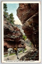 Manitou Colorado Donkey In The Narrows Williams Canyon Postcard R28 - £7.02 GBP