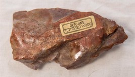Vintage Genuine Petrified Wood g10 - £40.99 GBP