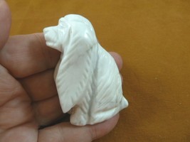 (Y-DOG-CS-717) white COCKER SPANIEL dog gemstone figurine gem stone carv... - £13.96 GBP