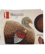Cranston Print Works Thanksgiving Turkey Fabric Panel Sewing Keepsake Cr... - £13.44 GBP