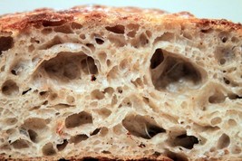 WHARF SAN FRANCISCO SOURDOUGH STARTER culture yeast flour dough dry powd... - £6.96 GBP