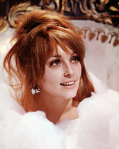 Sharon Tate Fearless Vampire Killers Prints And Posters 280791 - £7.64 GBP