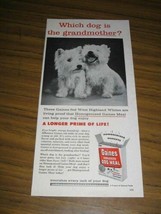 1957 Print Ad Gaines Meal Dog Food 2 Cute West Highland White Dogs - £6.42 GBP